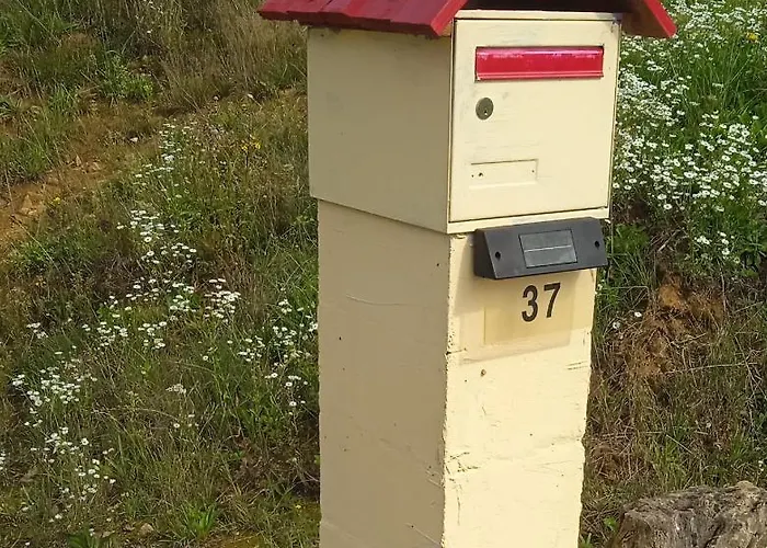 Het Rustige In De Velden Feriehus